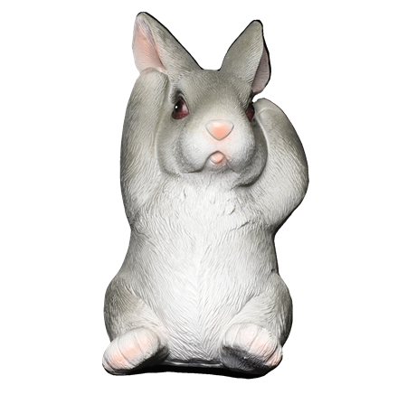 Image 22