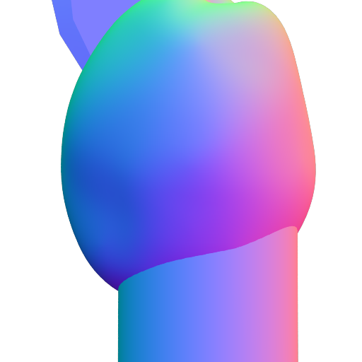 Showcase Image 40